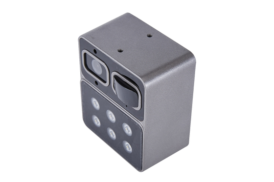Überwachungskamera PIR Light H265 PIR Detection IP66 AAC 4G Wifi